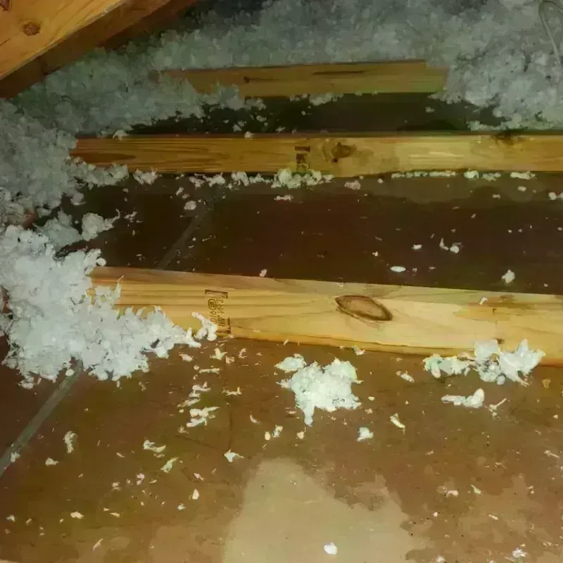 Attic Water Damage in Caledonia, NY